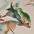 1980s Marine Art by Tracy Taylor Tropical Fish "Warm Waters" Offset Litho 39" Wide For Sale - Image 5 of 8