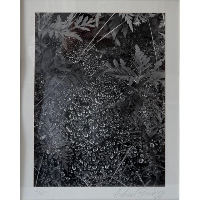 Black Andreas Feininger, American Photographer Andreas Feininger Silver Gelatin Vintage Print For Sale - Image 8 of 11