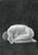 Early 21st Century Aleksandra Kalisz, Nude Stop, 2025, Pencil on Paper For Sale - Image 5 of 5