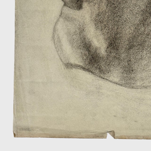 19th Century Antique 19th Century French Academic Study of a Greek Bust, Signed (Charcoal on Woven Paper) For Sale - Image 5 of 8