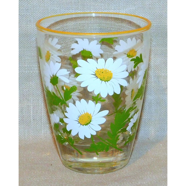 Libbey Shasta Daisy Glasses Set of 6 Chairish