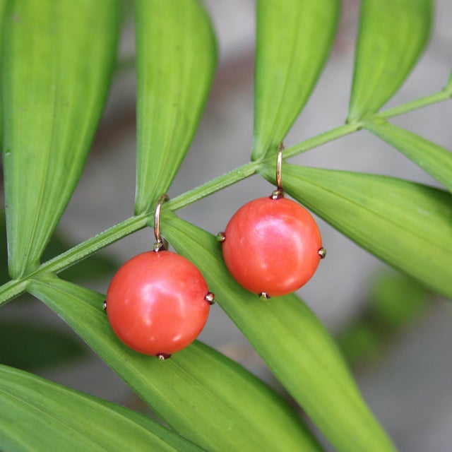 1900-1909 Pre-Revolutionary 14k Gold Coral Earrings, A Pair For Sale - Image 9 of 11