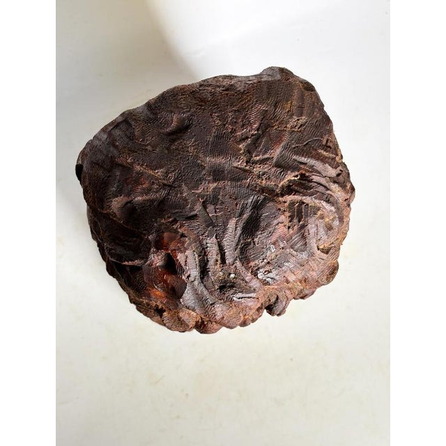 Sculpture of a Head in Wood, France, 1960s For Sale - Image 6 of 13