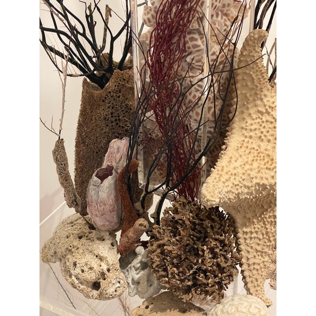 Vintage Grotto Sea World Sea Shells Floor Lamp For Sale - Image 11 of 11