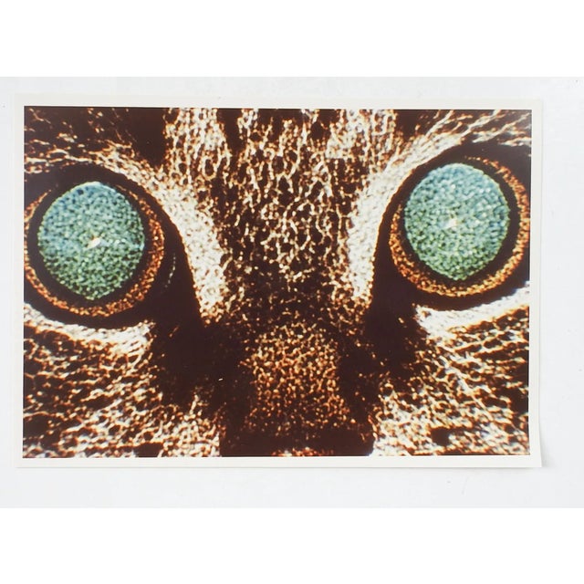 Vintage Abstract Cat Eyes Richard Bray Photograph For Sale - Image 4 of 4