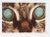 Vintage Abstract Cat Eyes Richard Bray Photograph For Sale - Image 4 of 4