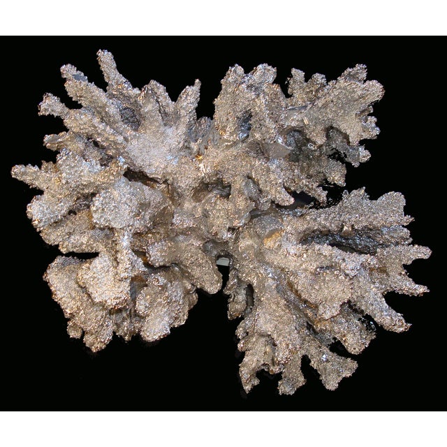Coral Sculpture with Silver Foil Finish Chairish
