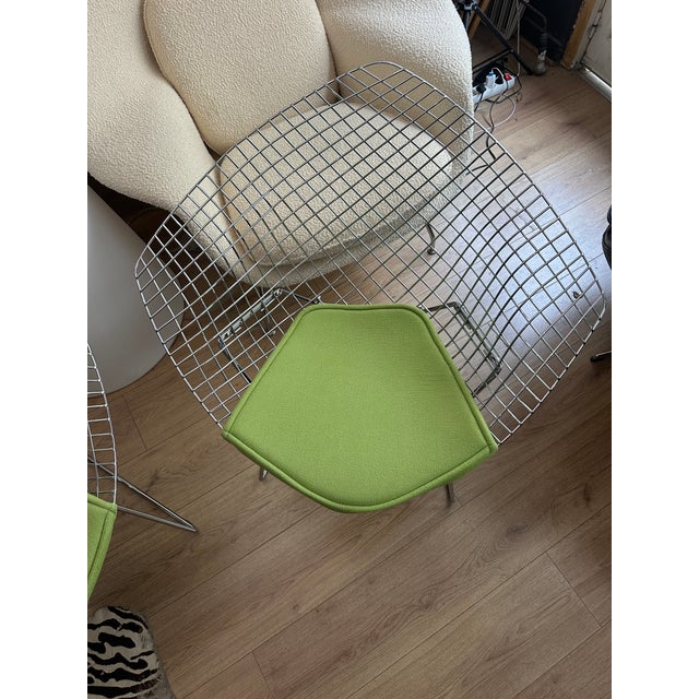 Diamond Lounge Chair by Harry Bertoia for Knoll Inc., 2010s For Sale - Image 6 of 7