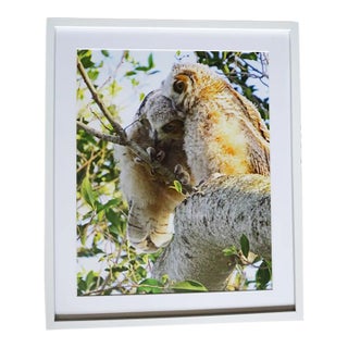 Vintage Award Winning Photographer Ruth Photograph "Who Loves You" Owls - Signed - XLarge For Sale