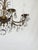 Antique 8 Arm Sweet Sensational Brass Cut Lead Glass Crystal Chandelier For Sale - Image 11 of 15