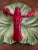 Majolica Lobster Dish For Sale In Miami - Image 6 of 6