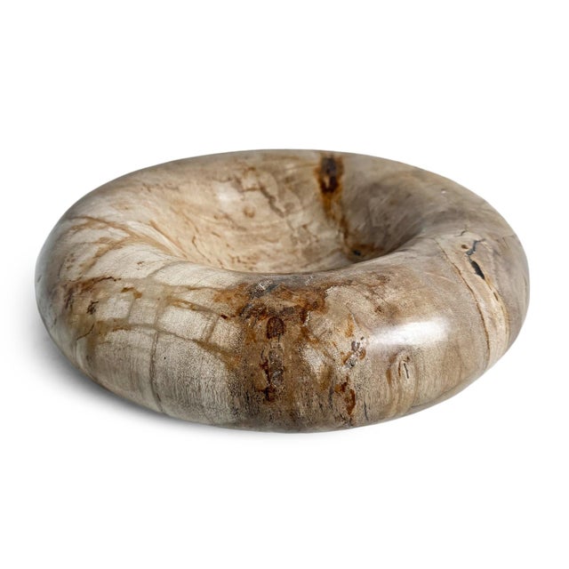 Contemporary Vintage Organic Modern Petrified Wood Decorative Bowl For Sale - Image 3 of 7