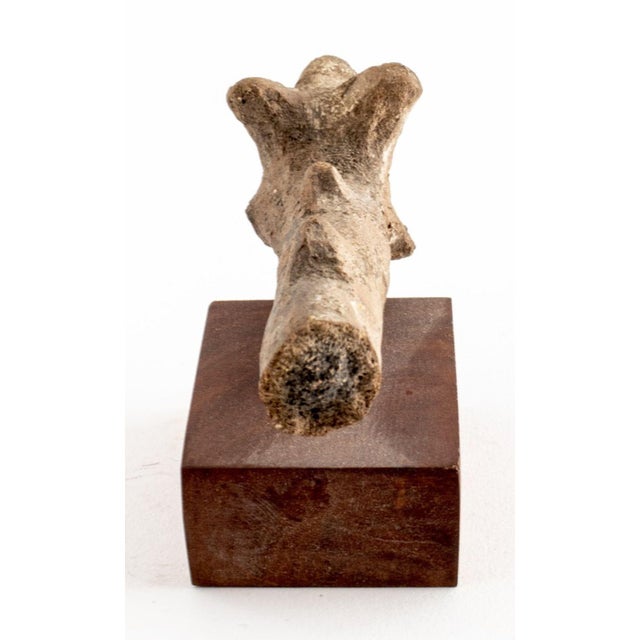19th Century Western Asiatic Red Clay Camel Figurine For Sale - Image 5 of 5