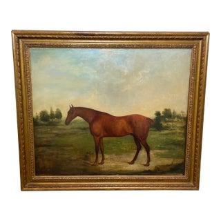 19th Century Oil Painting Portrait Bay Hunter Horse Partisan by James Barenger C1827 Bred by 4th Duke of Grafton For Sale