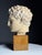 Greek Head Statue in Plaster For Sale - Image 6 of 14