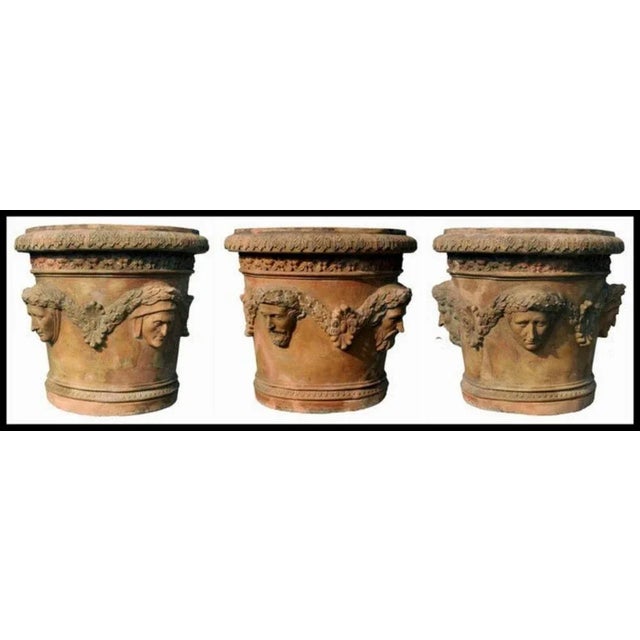 0th Century Tuscan Vase Dei 4 Poeti in Terracotta, Set of 2 For Sale - Image 5 of 7