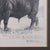 Glass Vintage Stamp Proof Sketch, English, Barry Driscoll, Welsh Black Bull, Framed For Sale - Image 7 of 10