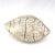 Mid 20th Century Vintage French Ceramic Clam Sculpture For Sale - Image 5 of 12
