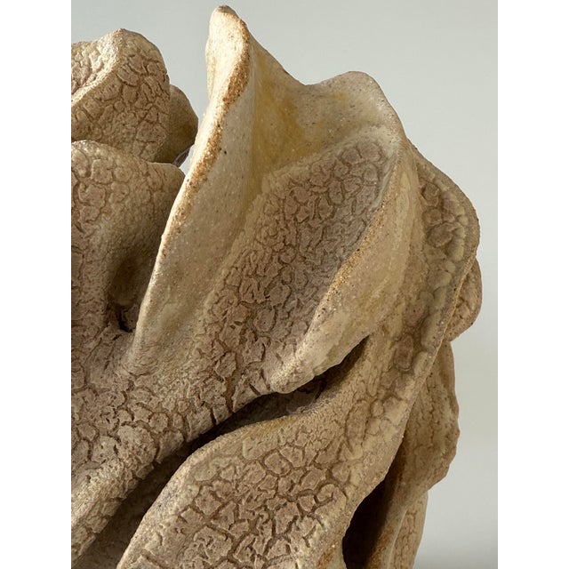 Geoma Kurinuki 7 Sculpture in Clay by Pellizco Ceramica For Sale - Image 9 of 13
