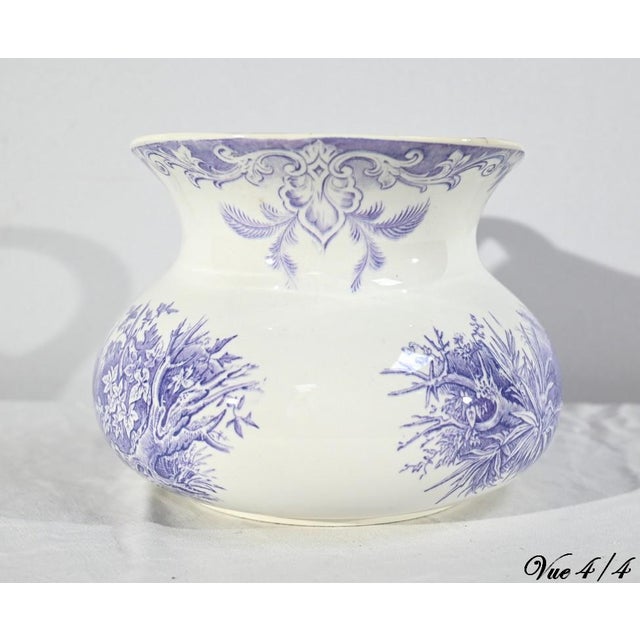 Canards Ceramic Bathroom Set from Sarreguemines, 1800s, Set of 2 For Sale - Image 11 of 18