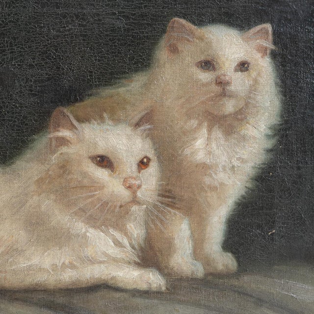 Portraiture Portrait of a Pair of White Cats, Antique Original Oil Painting, Attributed to Arthur Heyer, Late 19th/Early 20th C. For Sale - Image 3 of 11