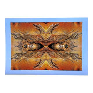 Miwok Vision (X2), Point Reyes, California 2008/2009 Original Artwork by Clifford Baker For Sale