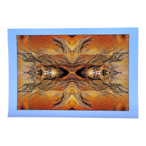 Miwok Vision (X2), Point Reyes, California 2008/2009 Original Artwork by Clifford Baker