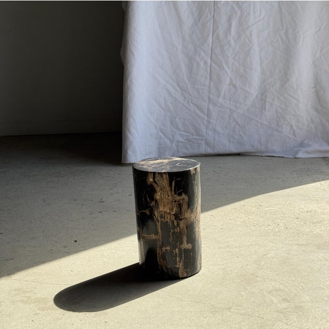 Small Side Table in Black Petrified Wood with Beige Striations, 1980s For Sale - Image 4 of 18
