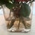 Glass Diane James Jewel Box Fall Dahlias in Art Deco Vase For Sale - Image 7 of 10