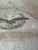 American Mid 19th Century Abraham Lincoln Brigadier General Commission Signed as President For Sale - Image 3 of 8