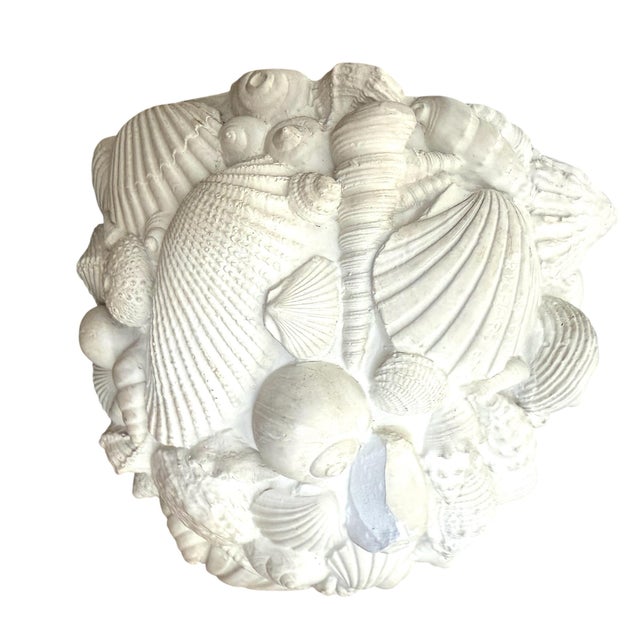 Richard Etts Plaster Shell Sconces For Sale - Image 12 of 12