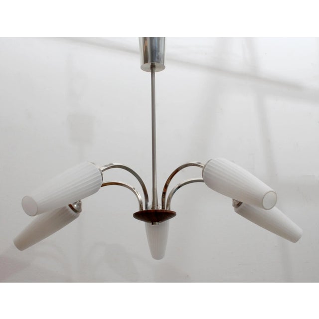 50s hanging lamp 5 flame. Chrome-plated metal, corrugated opal glass-tip. For bulbs with small E14. Beautiful functioning...