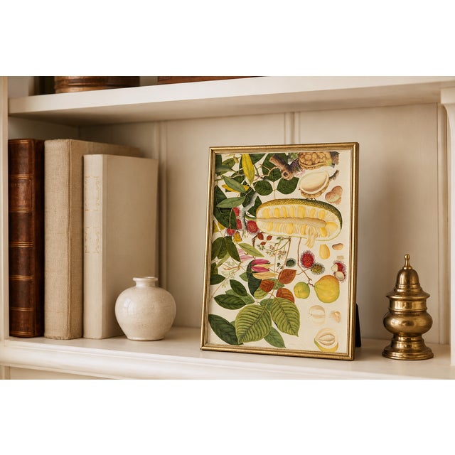 Not Yet Made - Made To Order Asian Tropical Fruit Botanical Plate 1, Giclée Art Print, 16" X 24" For Sale - Image 5 of 10