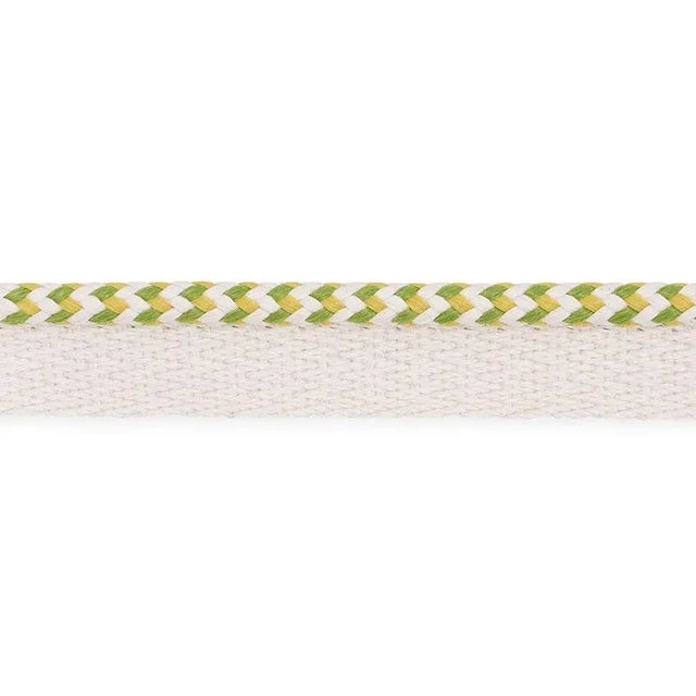 Contemporary Schumacher Bolander Cord Indoor & Outdoor in Leaf For Sale - Image 3 of 3