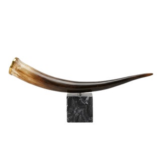 Polished Natural Horn Objet Mounted on Stone Base For Sale