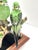Late 20th Century Mid Century Porcelain Parakeet Sculpture – Chinoiserie Bird Figurine on Wood Base For Sale - Image 5 of 12
