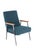 Genie Armchair from Gispen, Netherlands For Sale - Image 17 of 18