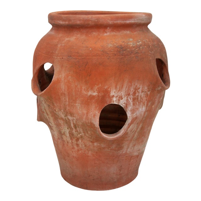 Vintage Terracotta Strawberry Pot Chairish