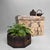 A distinctive old Japanese storage chest, used for keeping tea, herbs or other dry goods. The chest dates from the Shōwa...