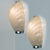 Shell Shaped Glass Wall Lights, Limburg, Germany, 1970s, Set of 2 For Sale - Image 12 of 14