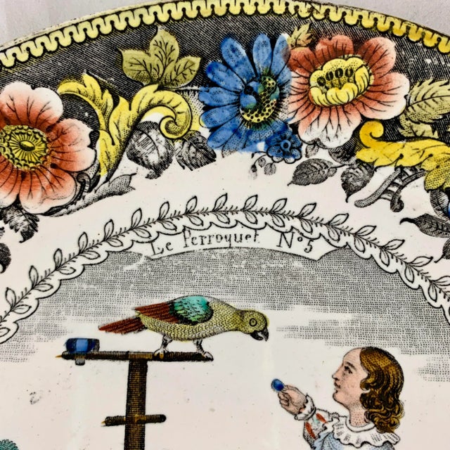 French Provincial Creil Polychrome Transferware Polychrome Plate – Le Perroquet, Circa 1830 For Sale - Image 3 of 10