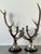 Vintage Natural Deer Antler Candlesticks - A Pair For Sale In West Palm - Image 6 of 12