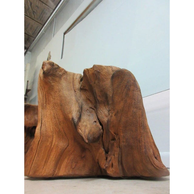 Mid-Century Live Edge Stump Floating Coffee Table For Sale - Image 4 of 11