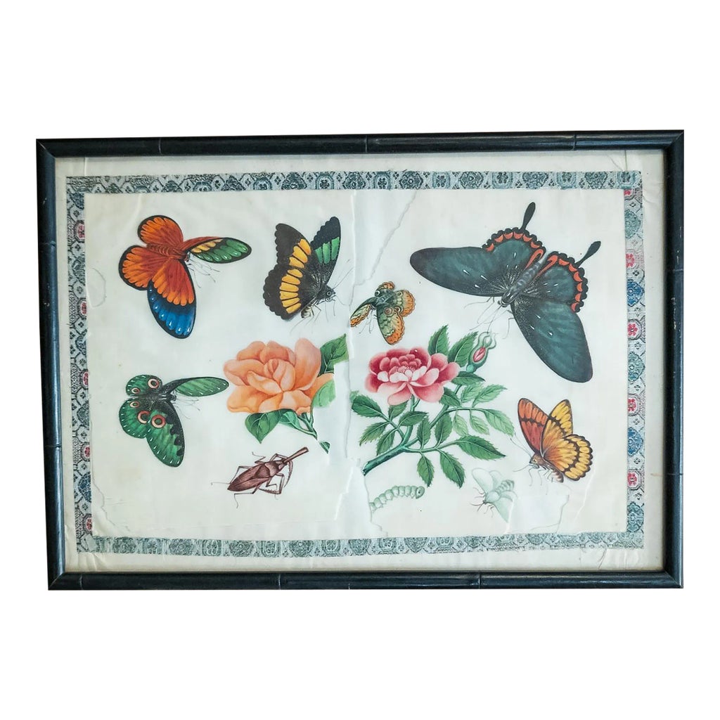 19th Century Chinese Export Watercolor Painting With Butterflies 