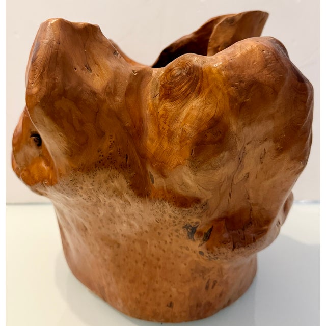Brown Vintage Hand-Carved Burl Wood Sculptural Bowl For Sale - Image 8 of 13