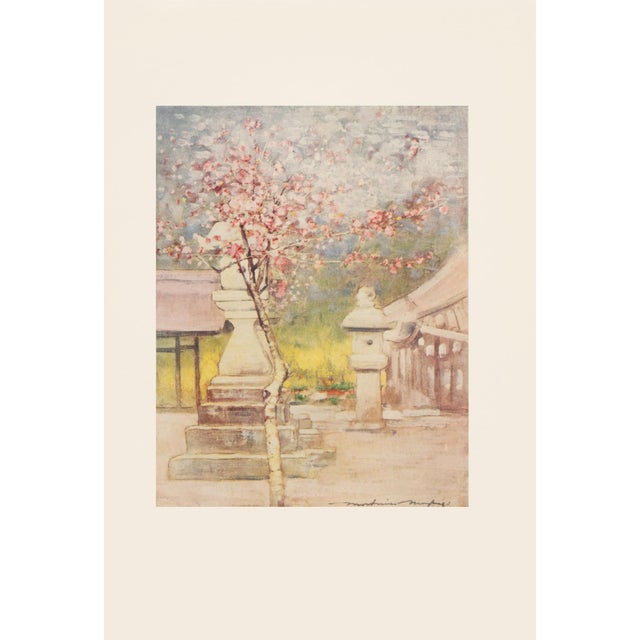 Paper 1901 Mortimer Menpes, "Peach-Blossom" Original Period Antique Print of Japan From London For Sale - Image 7 of 7