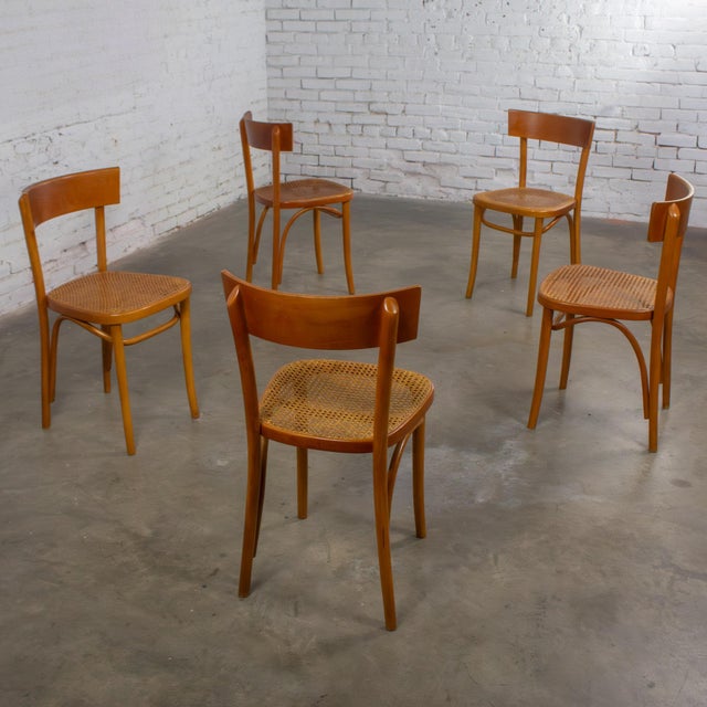 Mid to Late 20th Century Bauhaus Beech Bentwood Dining Chairs W/Cane Seats by Thonet Set of 5 For Sale - Image 15 of 18
