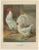 Christian Förster, The Distinguished Ramelsloher Chicken, 1888, Lithograph, Print For Sale
