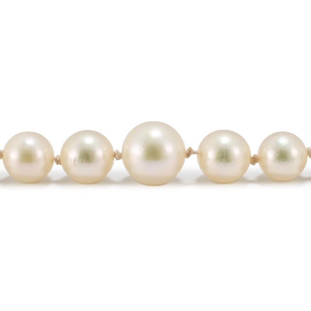 Modern Vintage Mikimoto Sterling Silver Akoya Pearl Graduated Chain Necklace For Sale - Image 3 of 8