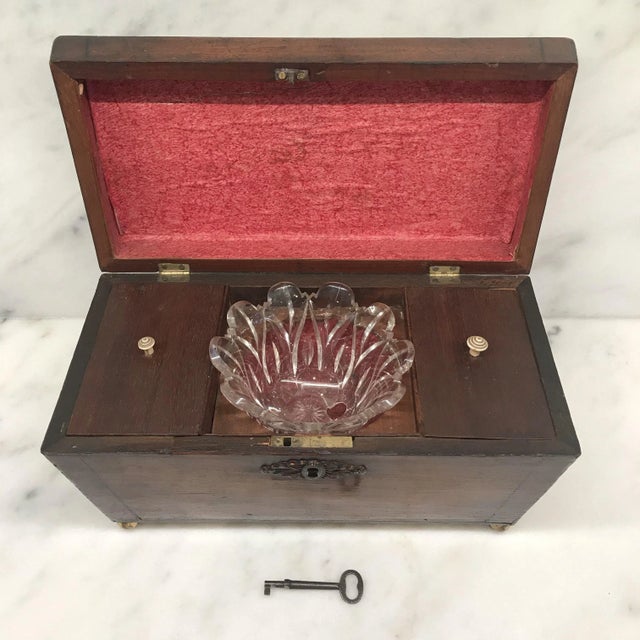 Early 19th Century British Regency Tea Box With Original Key For Sale - Image 4 of 12